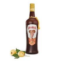 Load image into Gallery viewer, Amarula Cream Liqueur 1L - The Savanna