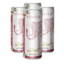 Load image into Gallery viewer, Vinette Fruity Sparkle 250ml Can